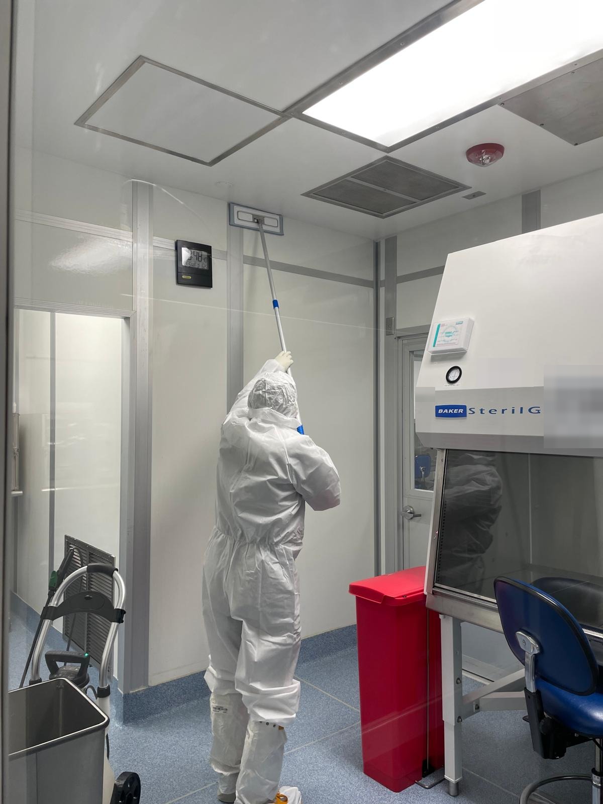A gowned technician cleans a cleanroom wall with a flat-head mop on an extension pole, starting at the junction where the wall meets the ceiling and working downward. Ceiling HEPA filter panels and a laminar flow cabinet are visible in the room.